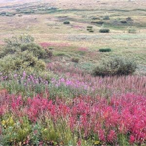 Meet your Posher, Carole